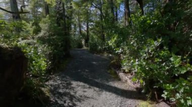 Pasifik Okyanusu 'nun batı kıyısındaki kayalık bir sahilde yürüyüş patikası. Bahar sabahı gökyüzü. Ucluelet, Vancouver Adası, British Columbia, Kanada. Doğa Arkaplanı. Yavaş Sinema Sineması