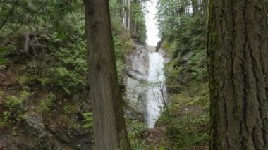 Yeşil Kanada yağmur ormanında şelale. Cascade Falls Mission yakınlarında, Vancouver 'ın doğusunda, British Columbia, Kanada. Yavaş Sinema Sineması.
