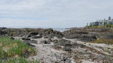 Pasifik Okyanusu 'nun batı kıyısındaki kayalık bir sahilde ağaçlar ve engebeli kayalar. Bahar sabahı gökyüzü. Ucluelet, Vancouver Adası, British Columbia, Kanada. Doğa Arkaplanı. Yavaş Sinema Sineması