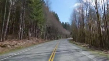 Kanada doğasında Port Alberni 'den Tofino' ya Manzaralı Yol. Pacific Rim Hwy, Vancouver Adası, British Columbia, Kanada.