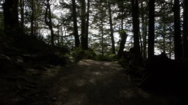 Pasifik Okyanusu 'nun batı kıyısındaki kayalık bir sahilde yürüyüş patikası. Bahar sabahı gökyüzü. Ucluelet, Vancouver Adası, British Columbia, Kanada. Doğa Arkaplanı. Yavaş Sinema Sineması