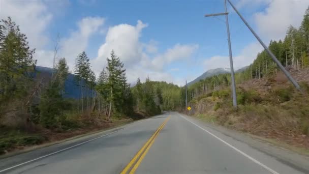 Живописная Дорога Канадской Природе Порт Альберни Тофино Pacific Rim Hwy — стоковое видео