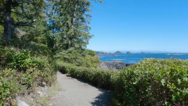 在太平洋西海岸的岩石海岸上行走的小径 春晓天空 Ucluelet 温哥华岛 不列颠哥伦比亚省 加拿大 自然背景 慢动作电影 — 图库视频影像
