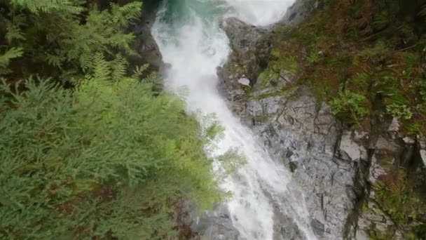 加拿大绿色雨林的瀑布 加拿大不列颠哥伦比亚省温哥华东部任务附近的瀑布瀑布 慢动作电影 — 图库视频影像