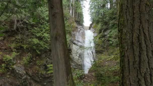 Cascata Nella Foresta Pluviale Canadese Verde Cascade Falls Mission East — Video Stock