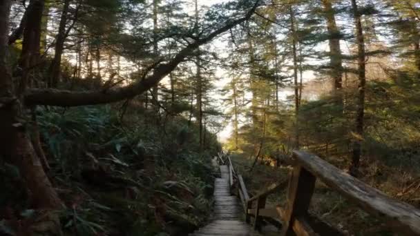 Drewniany Szlak Przez Las Idący Plażę Podczas Wiosennego Zachodu Słońca — Wideo stockowe