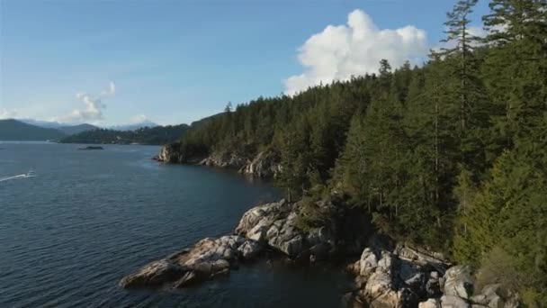 Felsige Küste Der Westküste Des Pazifischen Ozeans Bei Sonnenuntergang Aerial — Stockvideo