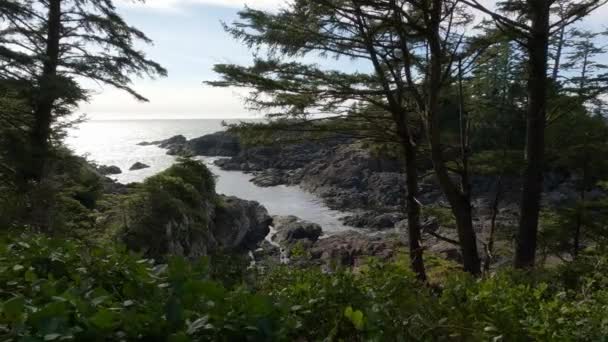 太平洋西岸岩石海岸上的树木和破碎的岩石 春晓天空 Ucluelet 温哥华岛 不列颠哥伦比亚省 加拿大 自然背景 慢动作电影 — 图库视频影像