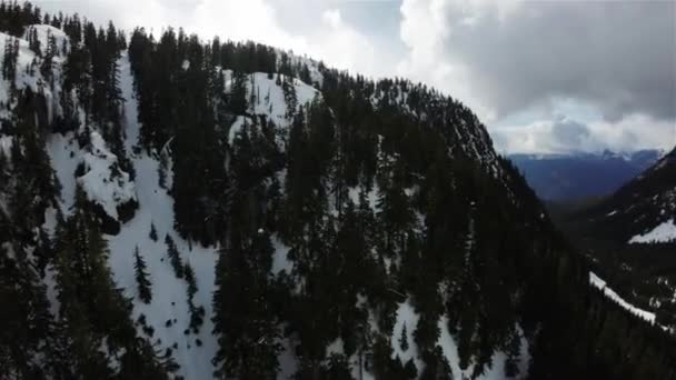 Luftflug Über Der Schneebedeckten Kanadischen Berglandschaft British Columbia Kanada Dynamisches — Stockvideo