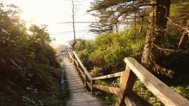 Drewniany Szlak Przez Las Idący Plażę Podczas Wiosennego Zachodu Słońca — Wideo stockowe