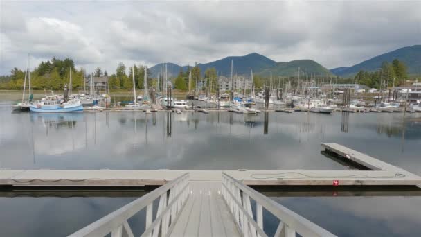 在码头的渔船 Ucluelet 温哥华岛 不列颠哥伦比亚省 加拿大 阳光灿烂的一天 慢动作电影 — 图库视频影像