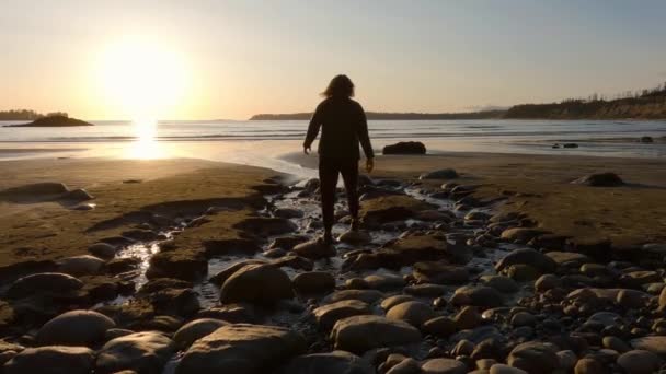 태평양의 해안에 비치에 밴쿠버 토피노 캐나다 — 비디오