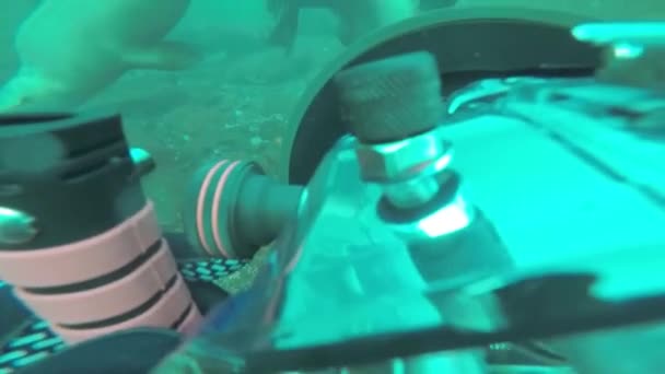 Hornby Island British Columbia Kanada April 2019 Taucher Machen Unterwasserfotos — Stockvideo
