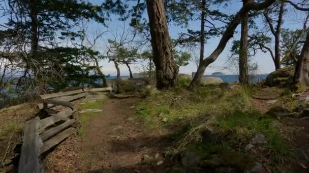 Trail Rocky Shore Pantai Barat Samudera Pasifik Nanoose Bay Vancouver — Stok Video