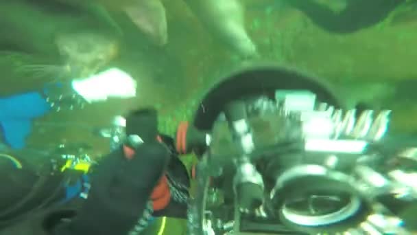 Hornby Island British Columbia Kanada April 2019 Taucher Machen Unterwasserfotos — Stockvideo