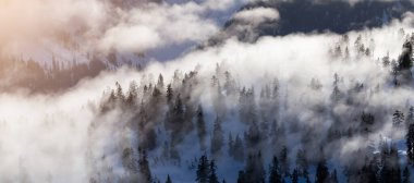 Kanada Dağları 'nın tepesinde bulutlarla kaplı yeşil ağaçlar. Vancouver, BC, Kanada yakınlarındaki Hava Görüntüsü.