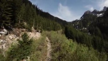 Bahar mevsiminde Dağ Manzarasında Yeşil Ağaçlar. Hava görüntüsü. Doğada Uçan Dinamik. British Columbia, Kanada. Güneşli Gün.