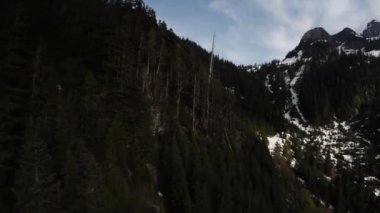 Bahar mevsiminde Dağ Manzarasında Yeşil Ağaçlar. Hava görüntüsü. Doğada Uçan Dinamik. British Columbia, Kanada. Güneşli Gün.