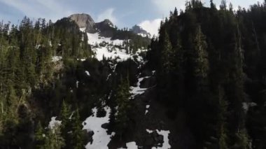 Bahar mevsiminde Dağ Manzarasında Yeşil Ağaçlar. Hava görüntüsü. Doğada Uçan Dinamik. British Columbia, Kanada. Güneşli Gün.