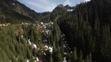 Bahar mevsiminde Dağ Manzarasında Yeşil Ağaçlar. Hava görüntüsü. Doğada Uçan Dinamik. British Columbia, Kanada. Güneşli Gün.