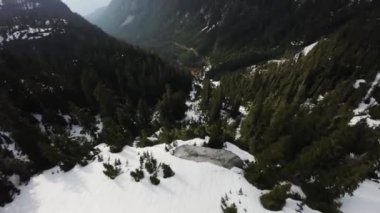 Bahar mevsiminde Kanada Dağ Manzarası. Hava görüntüsü. Doğada Uçan Dinamik. British Columbia, Kanada. Güneşli Gün.