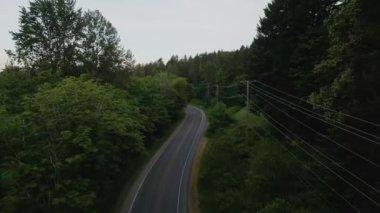 Sis kaplı çiftliklerden Manzaralı Yol. Güneşli Gündoğumu Alacakaranlığı. Vancouver Adası, British Columbia, Kanada. Hava Sineması