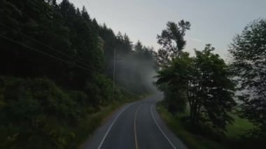 Sis kaplı çiftliklerden Manzaralı Yol. Güneşli Gündoğumu Alacakaranlığı. Vancouver Adası, British Columbia, Kanada. Hava Sineması
