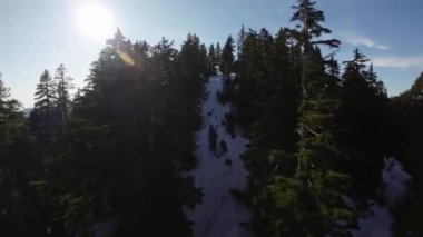 Bahar mevsiminde Kanada 'da Ağaçlar ve Dağ Tepeleri. Hava görüntüsü. Dinamik Uçma. Vancouver yakınlarında, British Columbia, Kanada. 