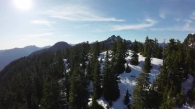 Bahar mevsiminde Kanada 'da Ağaçlar ve Dağ Tepeleri. Hava görüntüsü. Dinamik Uçma. Vancouver yakınlarında, British Columbia, Kanada. 