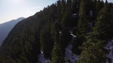 Bahar mevsiminde Kanada 'da Ağaçlar ve Dağ Tepeleri. Hava görüntüsü. Dinamik Uçma. Vancouver yakınlarında, British Columbia, Kanada. 