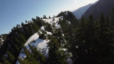 Bahar mevsiminde Kanada 'da Ağaçlar ve Dağ Tepeleri. Hava görüntüsü. Dinamik Uçma. Vancouver yakınlarında, British Columbia, Kanada. 