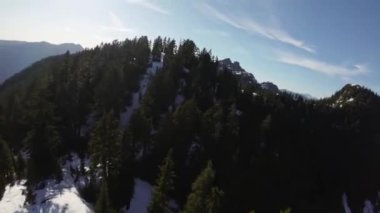 Bahar mevsiminde Kanada 'da Ağaçlar ve Dağ Tepeleri. Hava görüntüsü. Dinamik Uçma. Vancouver yakınlarında, British Columbia, Kanada. 