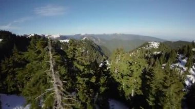 Bahar mevsiminde Kanada 'da Ağaçlar ve Dağ Tepeleri. Hava görüntüsü. Dinamik Uçma. Vancouver yakınlarında, British Columbia, Kanada. 