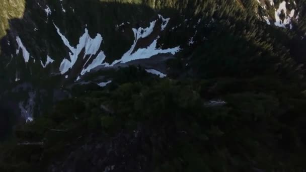 春季加拿大景观中的树木和山峰 空中景观 动态飞行 加拿大不列颠哥伦比亚省 — 图库视频影像