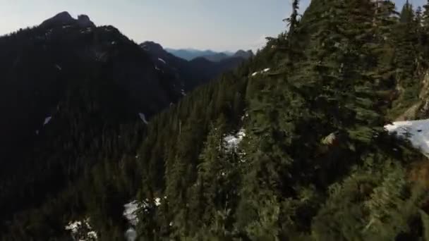 Drzewa Szczyty Górskie Kanadyjskim Krajobrazie Wiosny Widok Lotu Ptaka Dynamiczne — Wideo stockowe