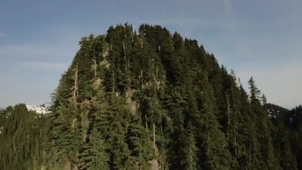 Дерева Гірські Вершини Канадському Пейзажі Навесні Вид Повітря Динамічний Політ — стокове відео