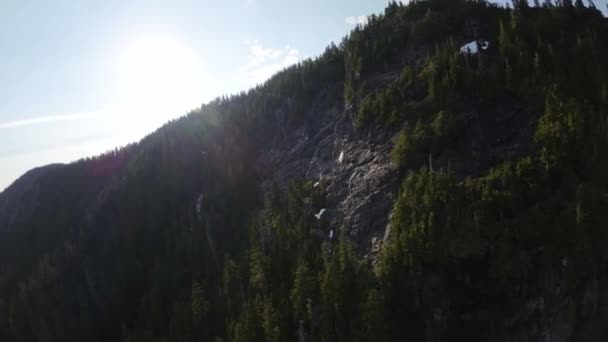 Bäume Und Berggipfel Der Kanadischen Landschaft Frühling Luftaufnahme Dynamisches Fliegen — Stockvideo