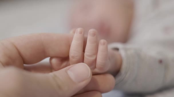 Little Newborn Hands Tutup Pergerakan Lambat — Stok Video