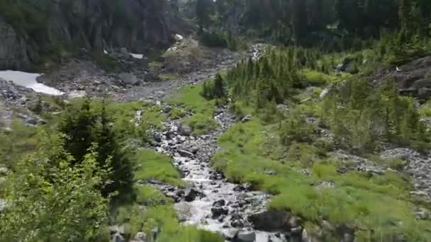 Río Corriendo Por Montaña Por Rocas Árboles Antecedentes Naturaleza Aérea — Vídeo de stock
