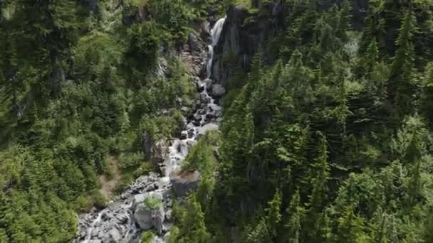 河水沿着岩石和树木流下山岗 空中自然背景 加拿大不列颠哥伦比亚省 — 图库视频影像