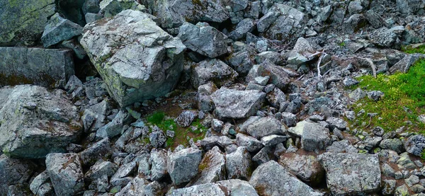 Rocky Boulder Field Canadian Mountain Landscape Latar Belakang Alam Udara — Stok Foto