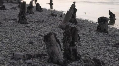 Okyanus kıyısında bir şehir parkında patika. Günbatımı Gökyüzü. Barnet Marine Park, Burnaby, Vancouver, BC, Kanada. Yavaş çekim.