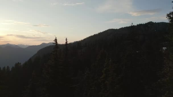Горные Пики Канадском Пейзаже Вид Воздуха Британская Колумбия Канада Высококачественные — стоковое видео
