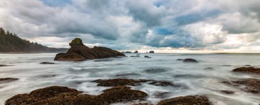 Pasifik Okyanusu 'nun batı kıyısındaki Rocky Shore. Washington, ABD. Doğa Arkaplanı.