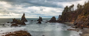 Pasifik Okyanusu 'nun batı kıyısındaki Rocky Shore. Washington, ABD. Doğa Arkaplanı.