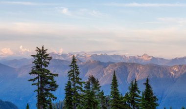 Kanada Dağları 'nın tepesindeki yeşil ağaçlar. Güneşli Günbatımı Gökyüzü. Doğa Arkaplanı. Seymour, Kuzey Vancouver, BC, Kanada.