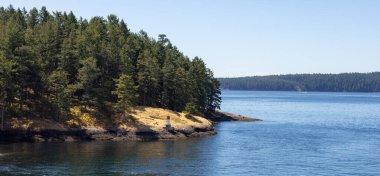 Canadian Landscape by the ocean and mountains. Summer Season. Gulf Islands near Vancouver Island, British Columbia, Canada. Canadian Landscape.