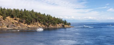 Canadian Landscape by the ocean and mountains. Summer Season. Gulf Islands near Vancouver Island, British Columbia, Canada. Canadian Landscape.