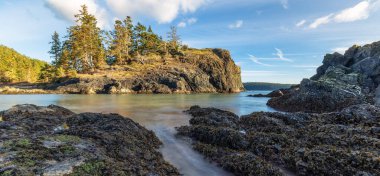 Pasifik Okyanusu 'nun batı kıyısındaki Rocky Shore. Washington, ABD. Doğa Arkaplanı.