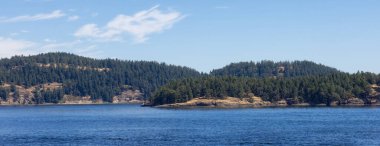 Canadian Landscape by the ocean and mountains. Summer Season. Gulf Islands near Vancouver Island, British Columbia, Canada. Canadian Landscape.
